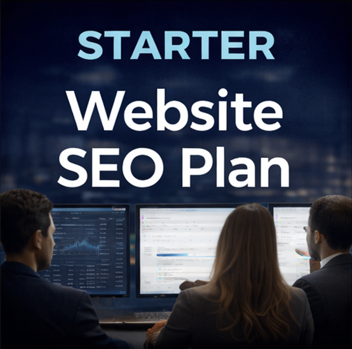 Professional SEO team analysing website performance and search rankings for a starter website SEO plan.