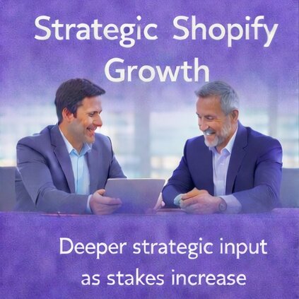 Strategic Shopify growth discussion focused on higher-stakes decisions and long-term planning